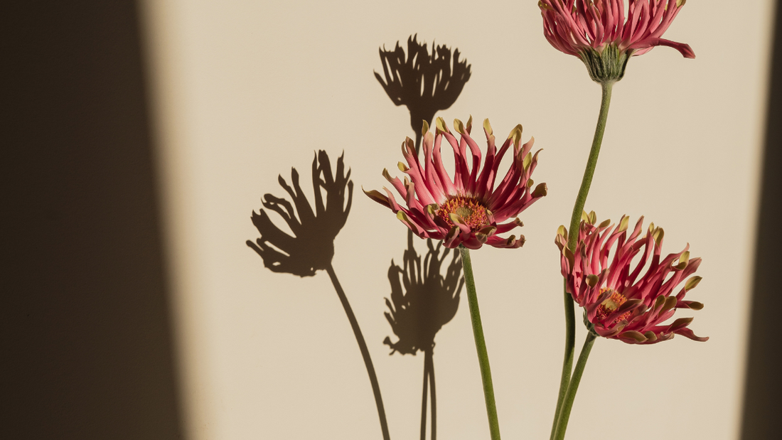 “秋バテ”リカバリーに。温活でエネルギーをチャージ