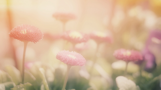 見た目を磨く前に、“心地よさ”を味方につけよう