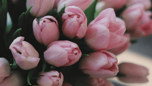 いつも頑張るお母さんへ、ぬくもりと感謝を贈ろう