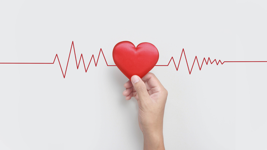 “お腹を温める”とメンタルが整う？腹巻きが腸脳相関に与える影響