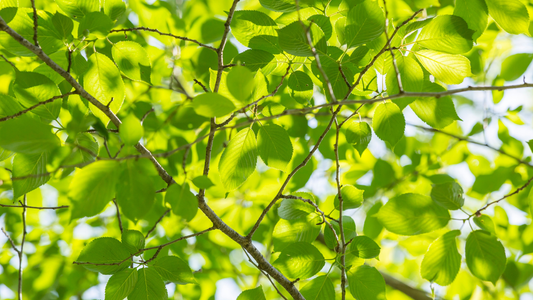 GWの冷え対策に腹巻きがおすすめな理由｜春の寒暖差から体を守る方法