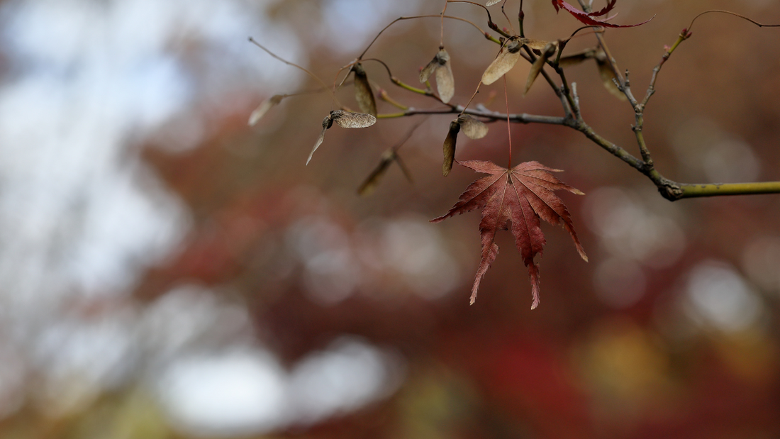 なんだかだるい秋、もしかして“冷え疲れ”？腹巻で内側からリカバリー