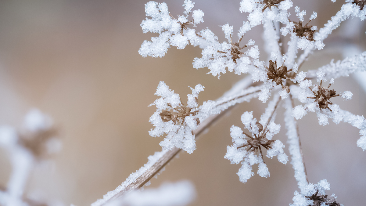 “そろそろ冬支度”は、わたしのためのやさしい準備。