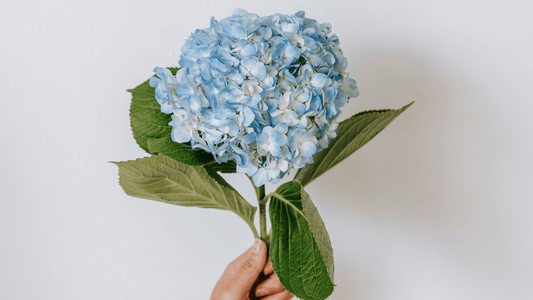 父の日の新習慣。おしゃれで機能的な腹巻を贈ろう