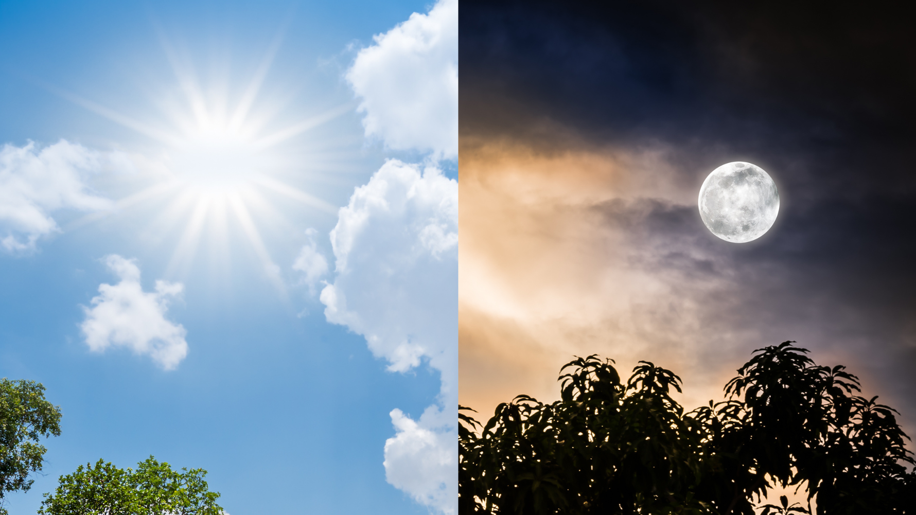 昼は暑い、夜は冷える。その“差”が体に残る理由