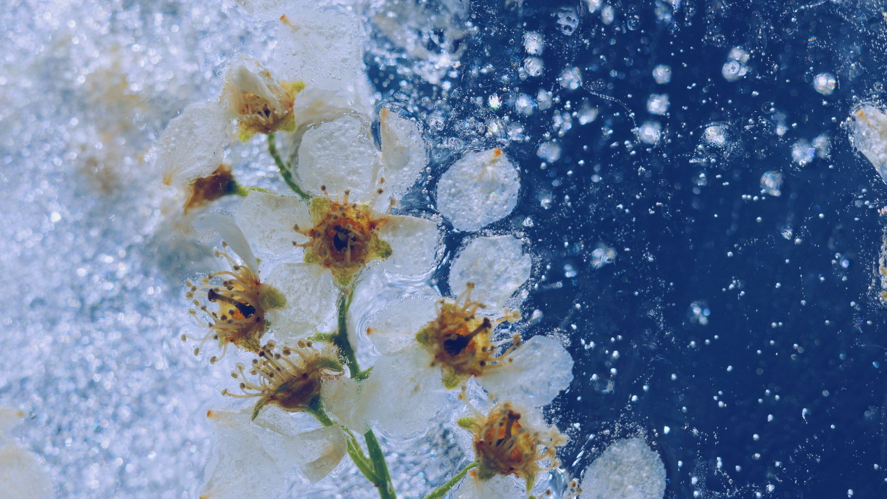 深部冷えとは？体の奥が冷えると不調が起きる理由